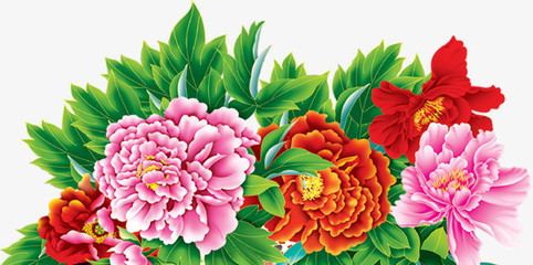 牡丹花開富貴圖 免費高清PNG素材，點綴你的創意設計